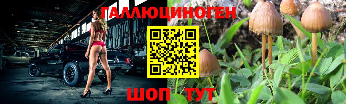 Псилоцибиновые грибы мицелий Саранск